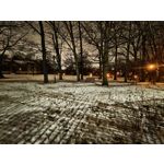 Zdjęcia użytkowników Realme 16 Pro 5G