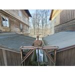 Zdjęcia użytkowników Realme 16 Pro 5G