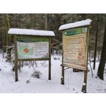 Zdjęcia użytkowników Realme 16 Pro 5G