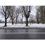 Zdjęcia użytkowników Realme 16 Pro 5G