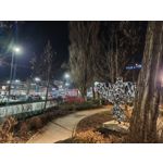 Zdjęcia użytkowników Realme 16 Pro 5G