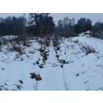 Zdjęcia użytkowników Realme 16 Pro 5G