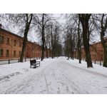 Zdjęcia użytkowników Realme 16 Pro 5G