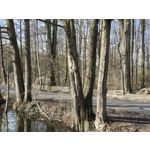 Zdjęcia użytkowników Realme 16 Pro 5G