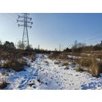 Zdjęcia użytkowników Realme 16 Pro 5G