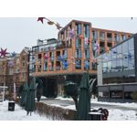 Zdjęcia użytkowników Realme 16 Pro 5G