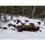 Zdjęcia użytkowników Realme 16 Pro 5G