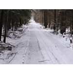 Zdjęcia użytkowników Realme 16 Pro 5G