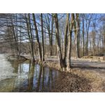 Zdjęcia użytkowników Realme 16 Pro+ 5G