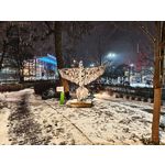 Zdjęcia użytkowników Realme 16 Pro+ 5G