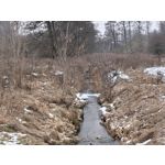 Zdjęcia użytkowników Realme 16 Pro+ 5G