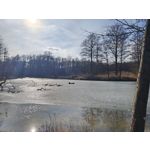 Zdjęcia użytkowników Realme 16 Pro+ 5G