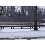 Zdjęcia użytkowników Realme 16 Pro+ 5G