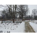 Zdjęcia użytkowników Realme 16 Pro+ 5G