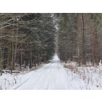 Zdjęcia użytkowników Realme 16 Pro+ 5G