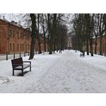 Zdjęcia użytkowników Realme 16 Pro+ 5G