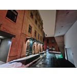 Zdjęcia użytkowników Realme 16 Pro+ 5G