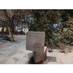 Zdjęcia użytkowników Realme 16 Pro+ 5G