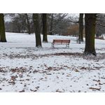 Zdjęcia użytkowników Realme 16 Pro+ 5G