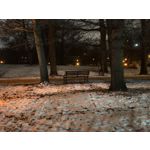 Zdjęcia użytkowników Realme 16 Pro+ 5G