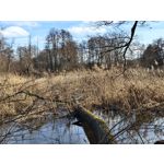 Zdjęcia użytkowników Realme 16 Pro+ 5G