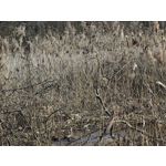 Zdjęcia użytkowników Realme 16 Pro+ 5G