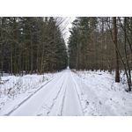 Zdjęcia użytkowników Realme 16 Pro+ 5G