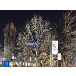 Zdjęcia użytkowników Realme 16 Pro+ 5G