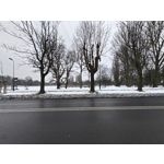 Zdjęcia użytkowników Realme 16 Pro+ 5G