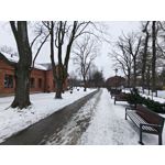 Zdjęcia użytkowników Realme 16 Pro+ 5G