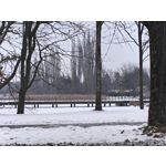 Zdjęcia użytkowników Realme 16 Pro+ 5G