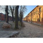 Zdjęcia użytkowników Realme 16 Pro+ 5G