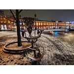 Zdjęcia użytkowników Realme 16 Pro+ 5G