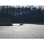 Zdjęcia użytkowników Realme 16 Pro+ 5G