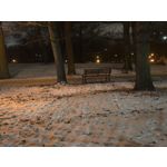 Zdjęcia użytkowników Realme 16 Pro+ 5G