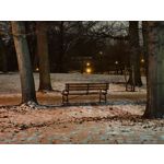 Zdjęcia użytkowników Realme 16 Pro+ 5G