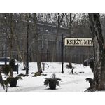 Zdjęcia użytkowników Realme 16 Pro+ 5G