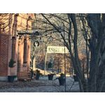 Zdjęcia użytkowników Realme 16 Pro+ 5G