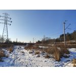 Zdjęcia użytkowników Realme 16 Pro+ 5G