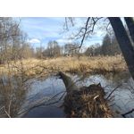 Zdjęcia użytkowników Realme 16 Pro+ 5G