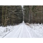 Zdjęcia użytkowników Realme 16 Pro+ 5G