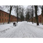 Zdjęcia użytkowników Realme 16 Pro+ 5G