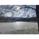 Zdjęcia użytkowników Realme 16 Pro+ 5G