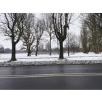 Zdjęcia użytkowników Realme 16 Pro+ 5G