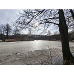 Zdjęcia użytkowników Realme 16 Pro+ 5G