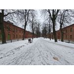 Zdjęcia użytkowników Realme 16 Pro+ 5G