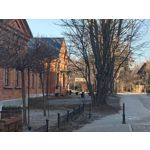 Zdjęcia użytkowników Realme 16 Pro+ 5G