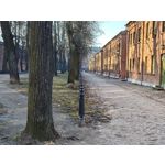 Zdjęcia użytkowników Realme 16 Pro+ 5G