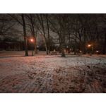 Zdjęcia użytkowników Realme 16 Pro+ 5G