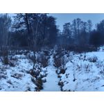 Zdjęcia użytkowników Realme 16 Pro+ 5G